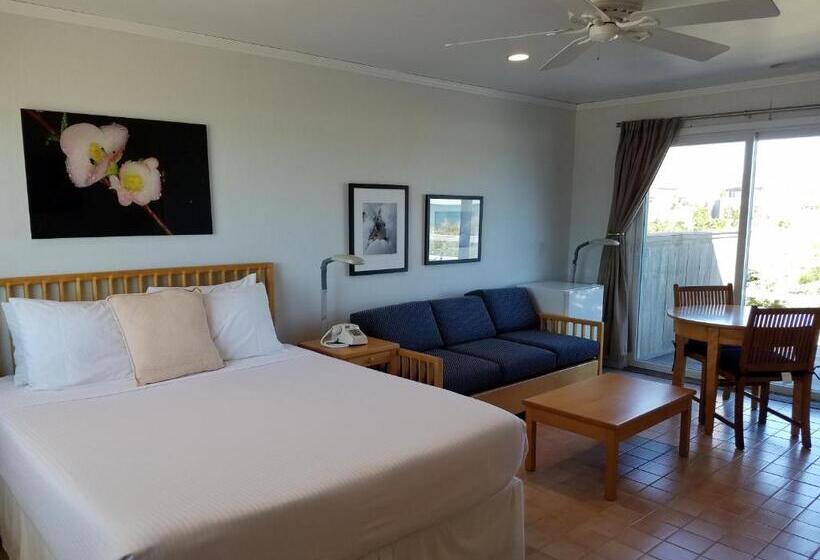 غرفة قياسية, White Sands Motel