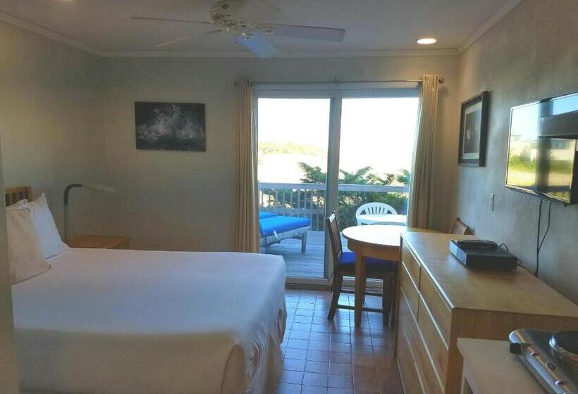 غرفة أساسية, White Sands Motel