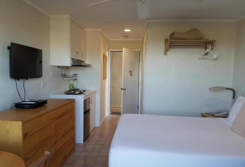 Номер Basic, White Sands Motel