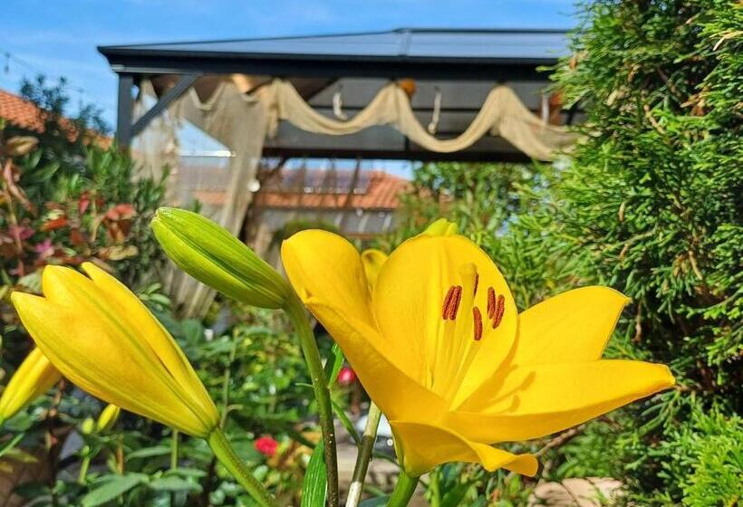 Номер Стандарт, Dom Zaharievi