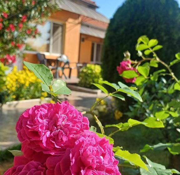 Номер Стандарт 2 Двуспальные Кровати, Dom Zaharievi