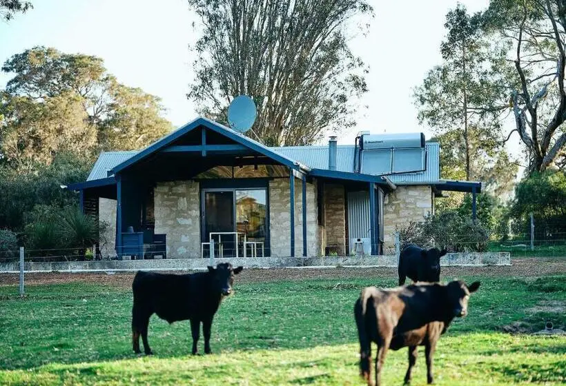 Deluxe-bungalow, Burnside Organic Farm