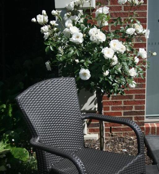 خانه ردیفی 2 خوابه, Mansi On Raymond