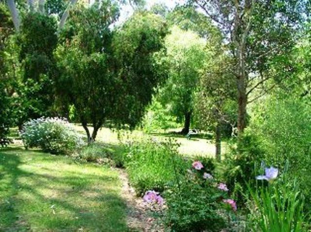 غرفة قياسية, Alpine Riverside Cottages