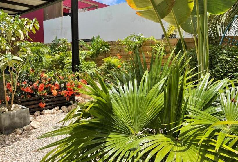 غرفة ديلوكس مطلّة علي الحديقة, Casa Mantana Bonaire