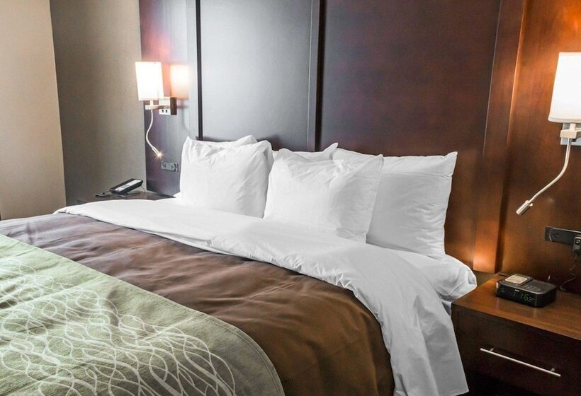 جناح, Comfort Inn & Suites Pharr/mcallen