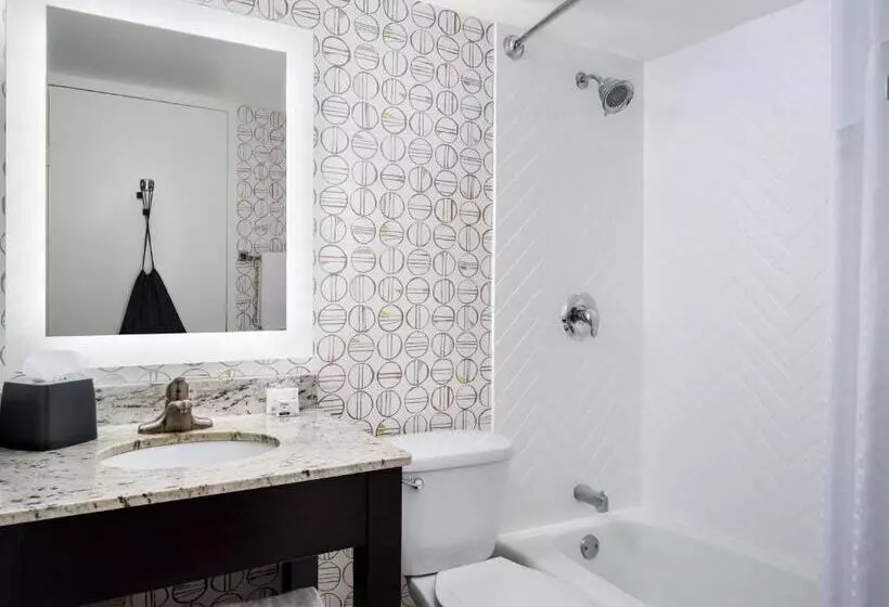 اتاق استاندارد با تخت بزرگ, Holiday Inn Hotel & Suites Boston Peabody By Ihg