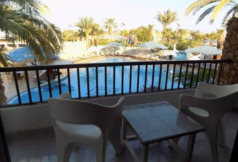 اتاق استاندارد با چشم‌انداز استخر, Turquoise Beach
