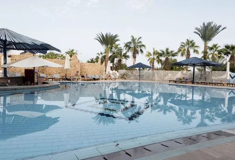 اتاق استاندارد با چشم‌انداز استخر, Turquoise Beach