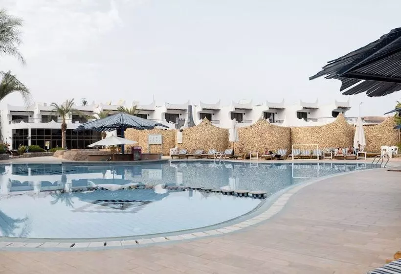 اتاق استاندارد با چشم‌انداز استخر, Turquoise Beach