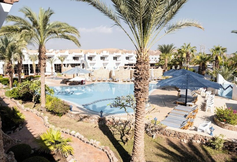 اتاق استاندارد با چشم‌انداز استخر, Turquoise Beach