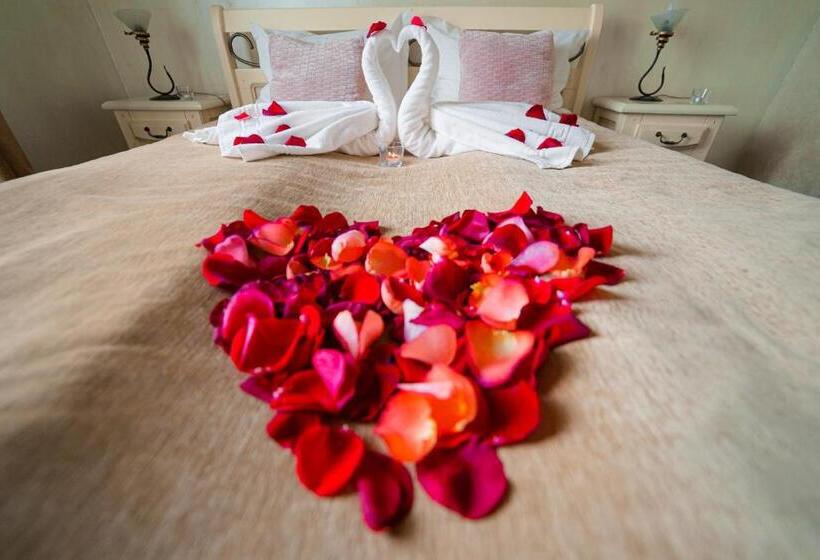 标准间, Carol   Vatra Dornei