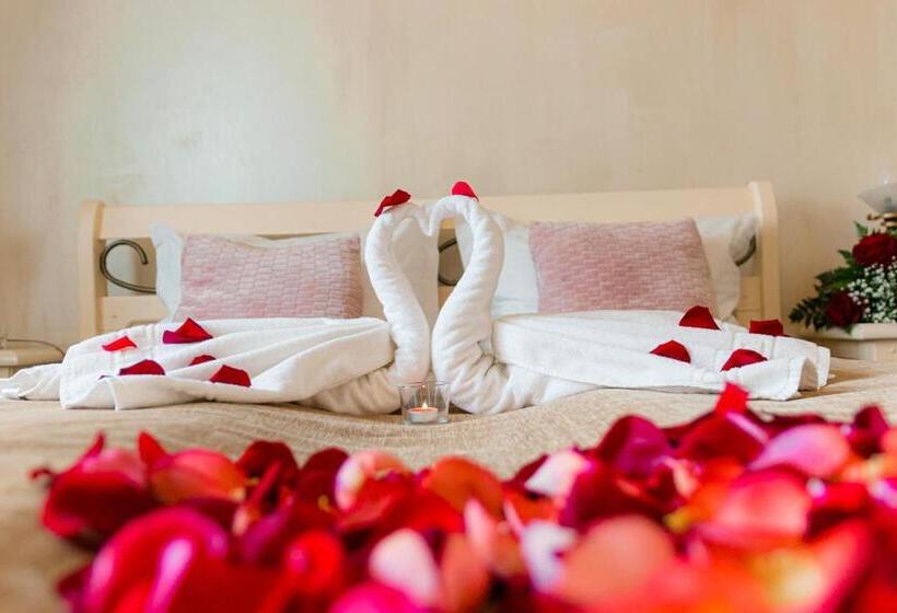 标准间, Carol   Vatra Dornei