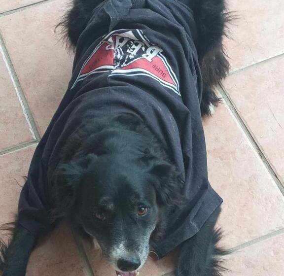 חדר סטנדרט, Pousada Brasil Paraty