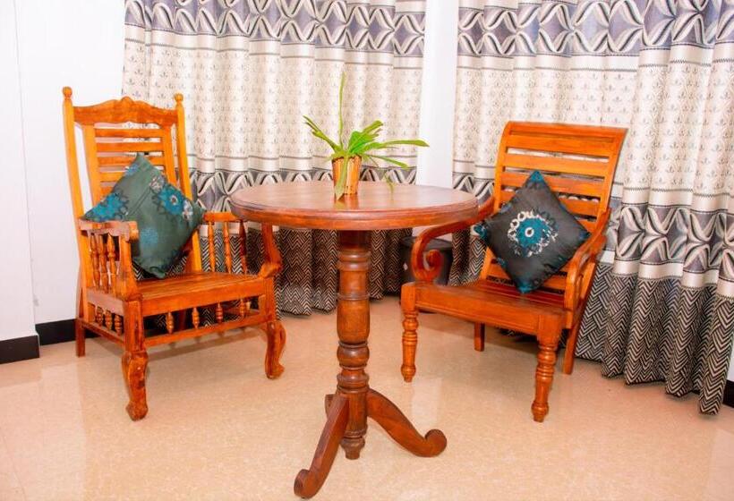 デラックスルーム, Turtle Paradise