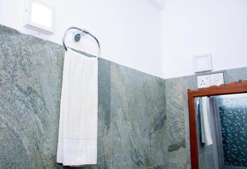 デラックスルーム, Turtle Paradise