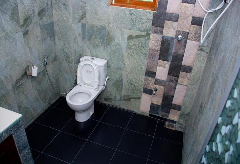 デラックスルーム, Turtle Paradise