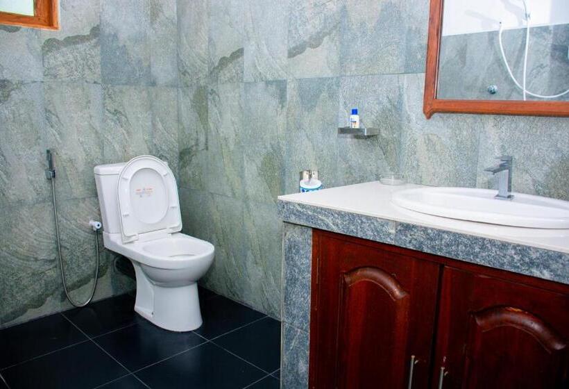 デラックスルーム, Turtle Paradise