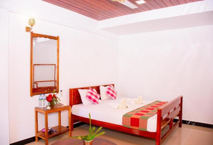 デラックスルーム, Turtle Paradise