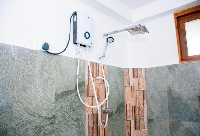 デラックスルーム, Turtle Paradise