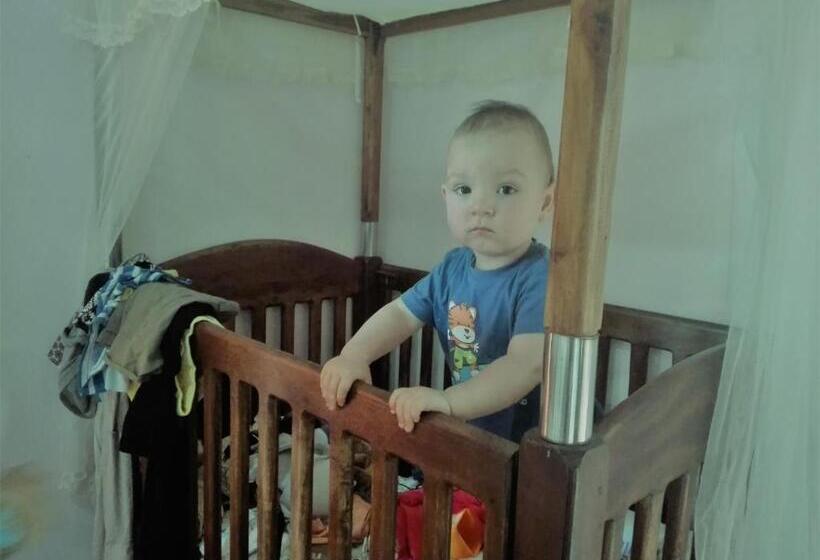 ファミリールーム, Turtle Paradise