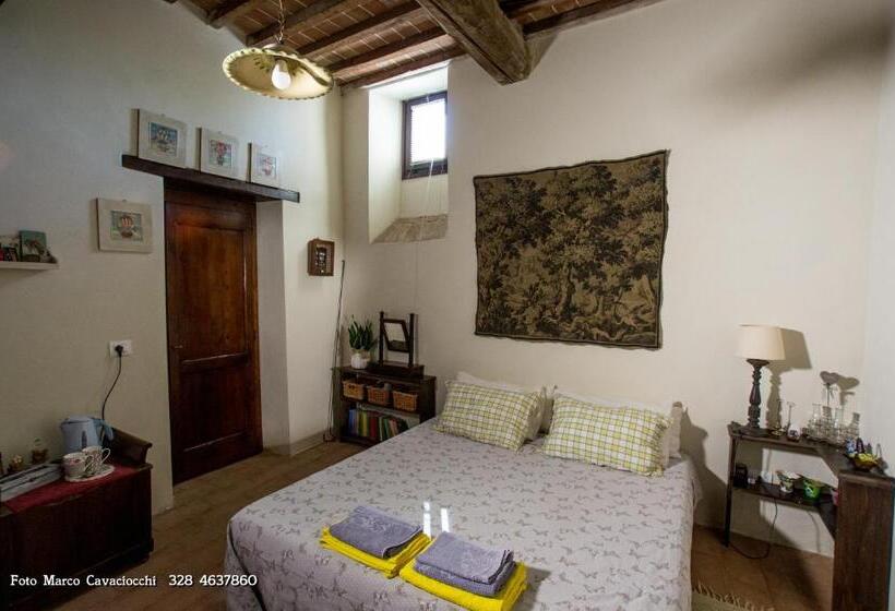 Номер Стандарт, Il Bosso Di Toscana