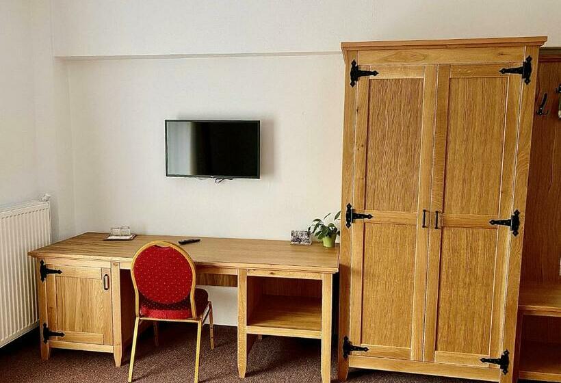 スタンダードルーム, Casa Lazaroiu