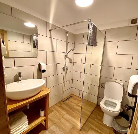 スタンダードルーム, Casa Lazaroiu