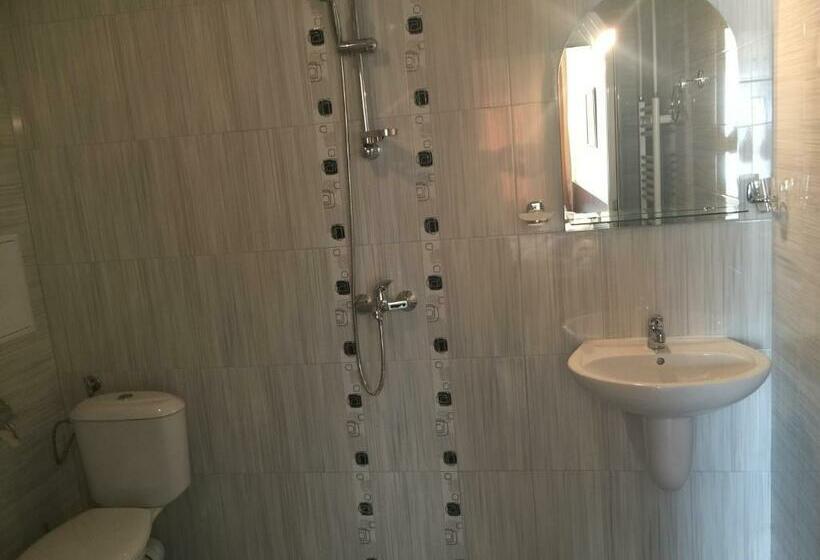 غرفة قياسية, Balneo Hotel Bozhur