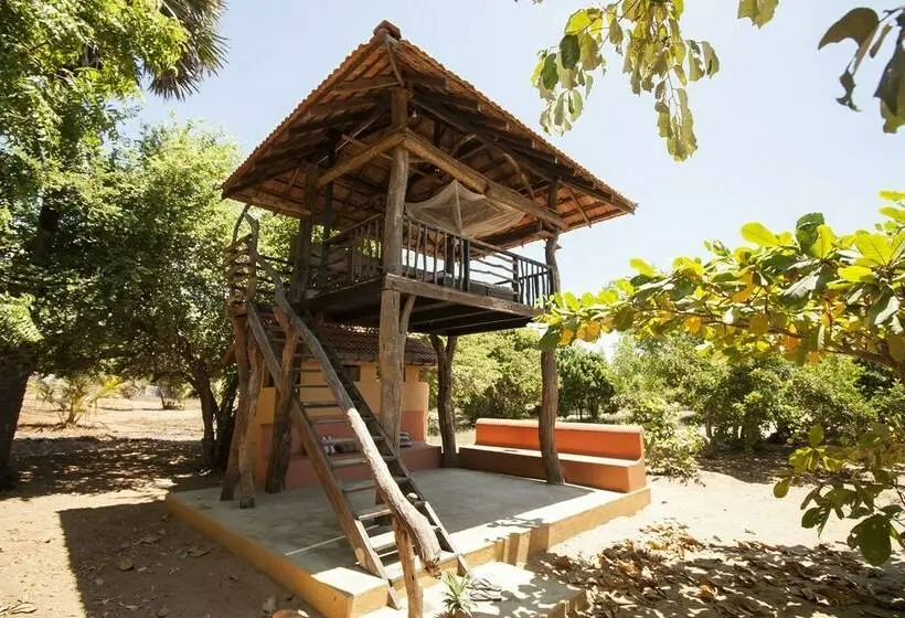 １ベッドルームハウス, Hilltop Cabanas