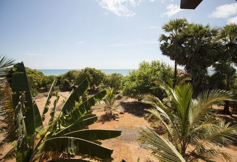 舒适三人间, Hilltop Cabanas