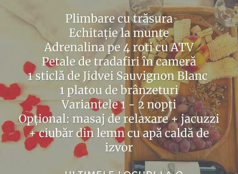 マウンテンビュースタンダードルーム, Casa Dives  Transylvania