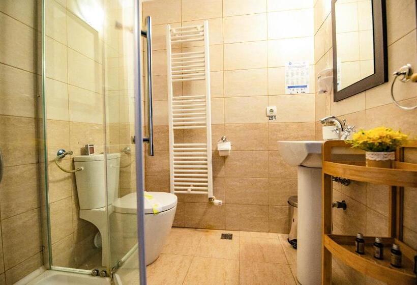 غرفة قياسية مطلة على الجبل, Casa Dives  Transylvania