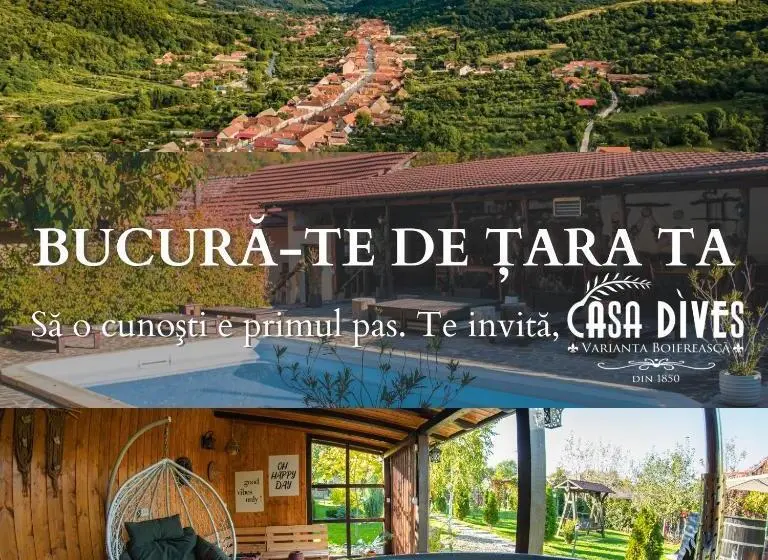 プールビュースタンダードルーム, Casa Dives  Transylvania