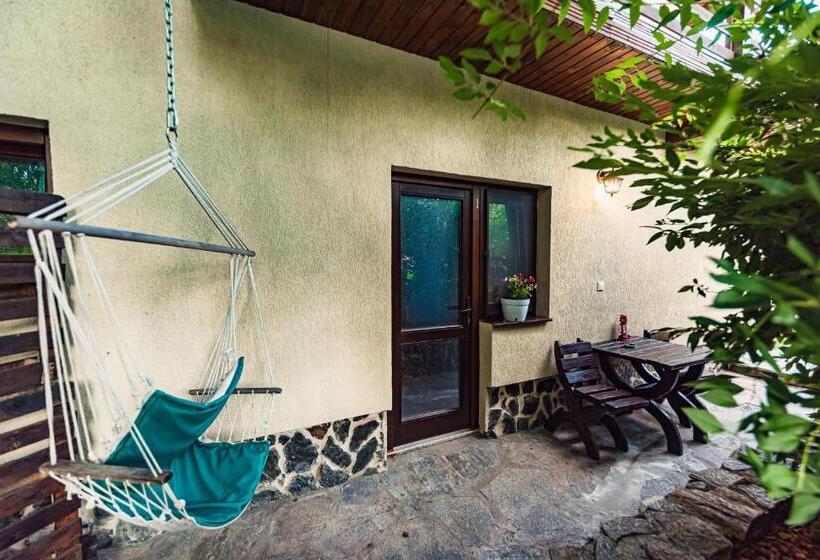 غرفة قياسية مطلّة علي حمام السباحة, Casa Dives  Transylvania