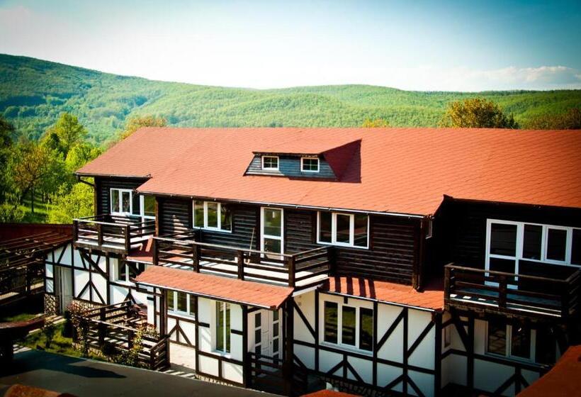 غرفة ديلوكس, Pensiunea Sarmis