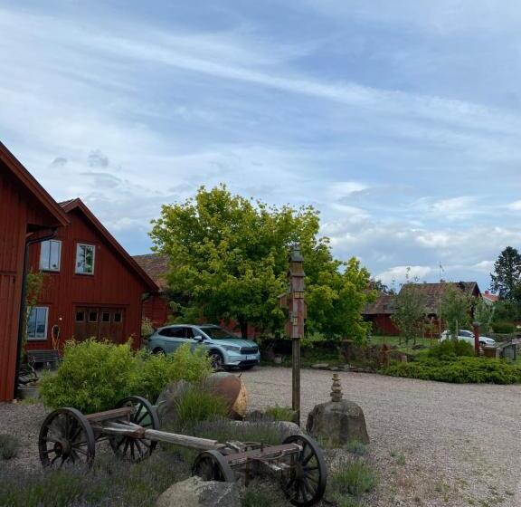 Номер Стандарт, B&b Borgunda