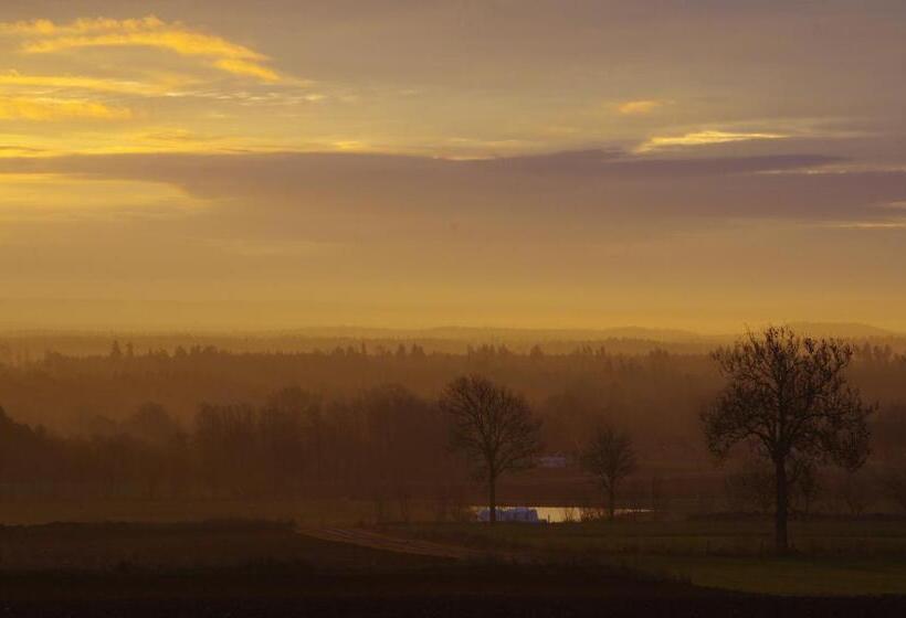 غرفة قياسية, B&b Borgunda