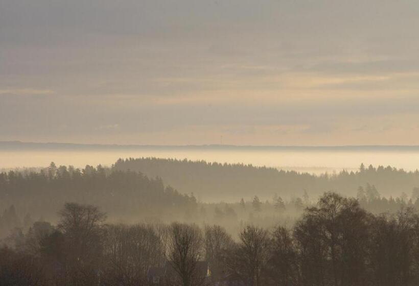 غرفة قياسية, B&b Borgunda