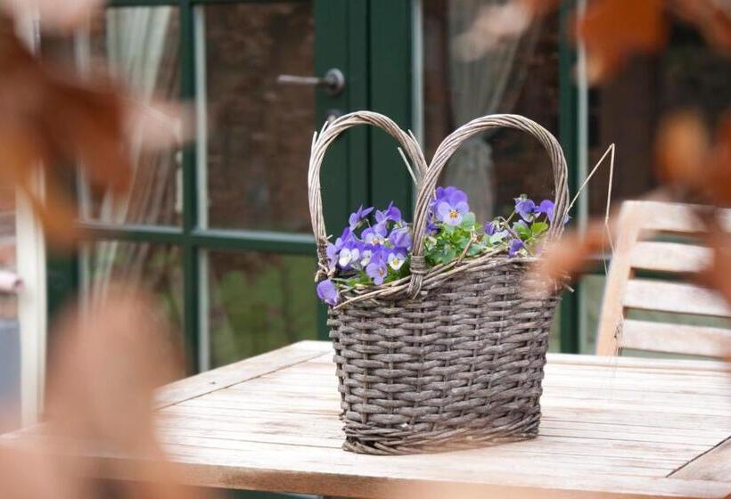 デラックスルーム, B&b Hof Van Eerde