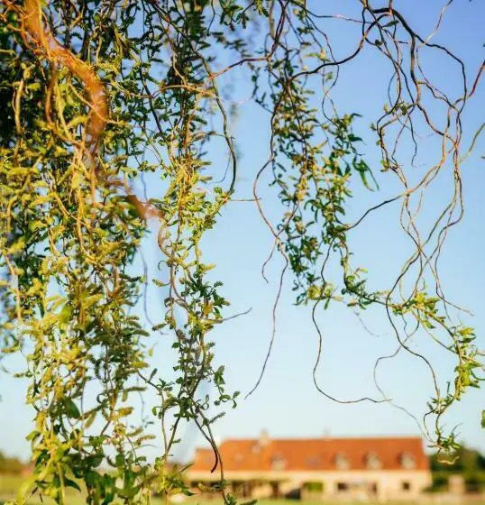 スタンダードルーム, Hoeve Roosbeek
