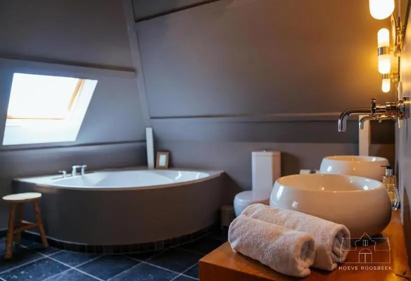 スーペリアールーム, Hoeve Roosbeek