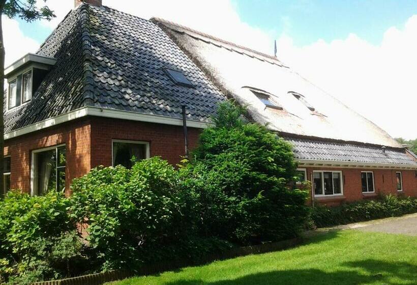 经济房, Bed & Breakfast Meinsma