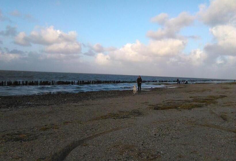 一居室别墅, Bed & Breakfast Meinsma