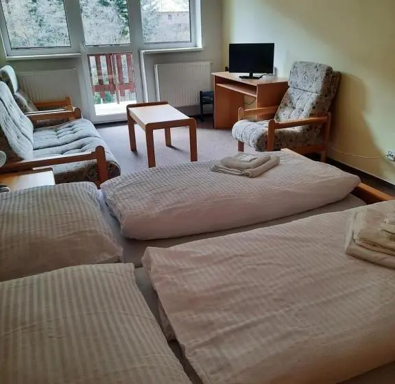 １ベッドルームアパートメント, Horský Hotel Podjavorník
