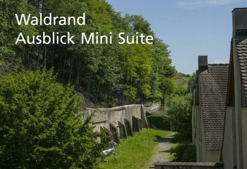 Mini Suite, Kartause Ittingen