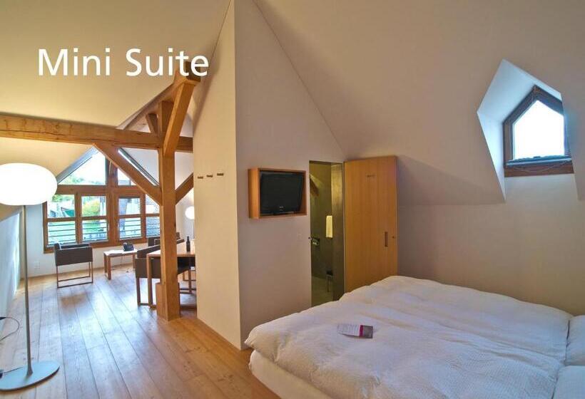 Mini Suite, Kartause Ittingen