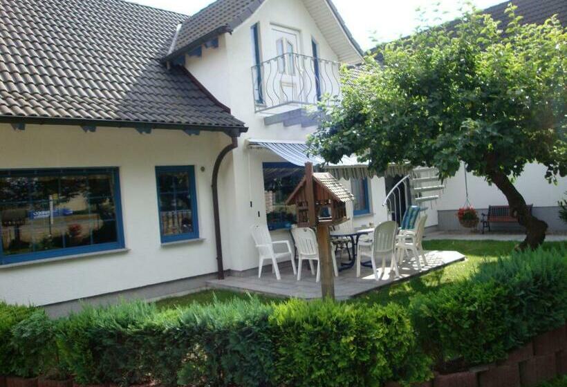 Номер Стандарт, Pension Goerke