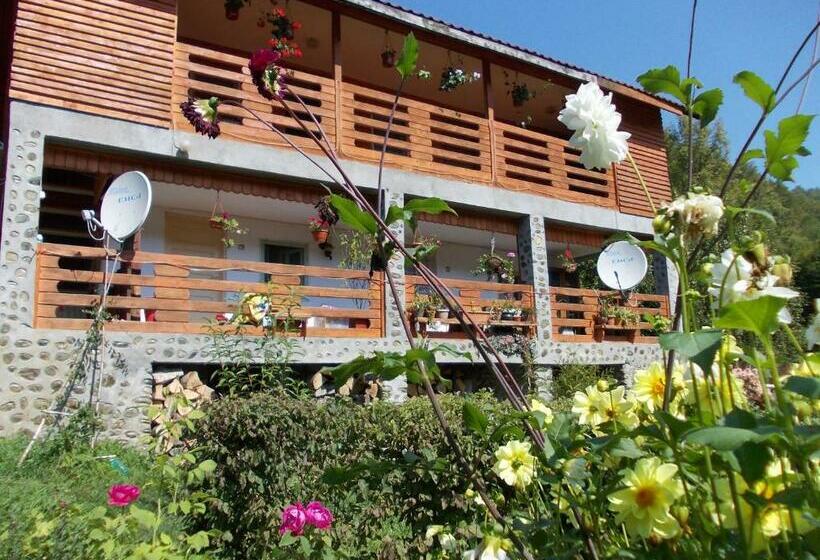 带大床的标准间, Pensiunea Poiana Soarelui