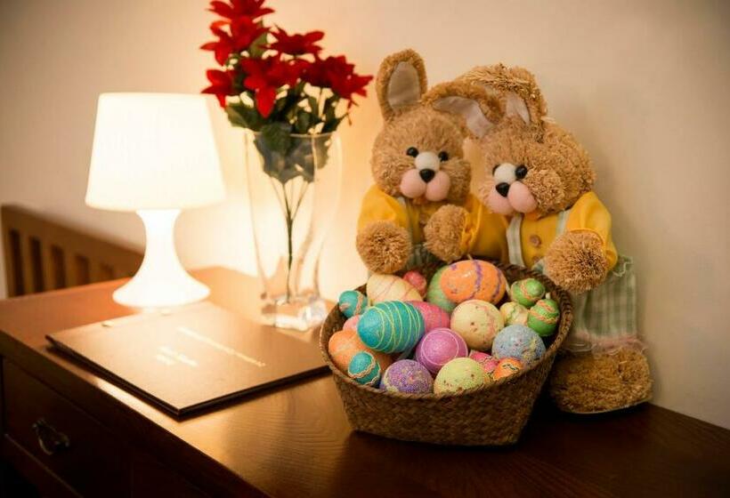 اتاق استاندارد یک نفره, Aliados